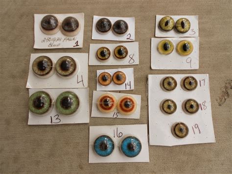 taxidermy glass eyes